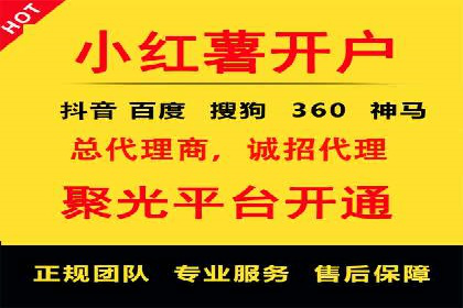 SEM服务助力中小企业案例分析